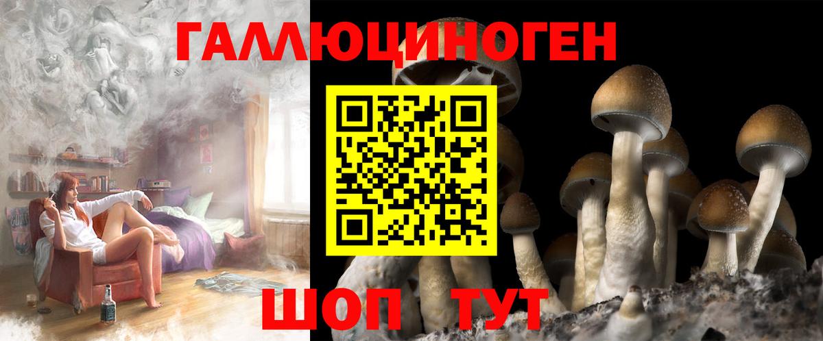 Галлюциногенные грибы Psilocybe  Галлюциногенные грибы MAGIC MUSHROOMS  Вход с VPN  Советская Гавань 